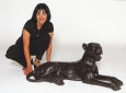 Lay Down Panther bronze reproduction