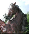 Life Size Rearing Stallion bronze