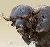 Buffalo bronze