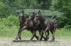 Three Horses bronze table