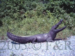 Alligator Bronze Fountain