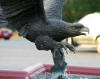 Monumental Eagle bronze sculpture by Nardini