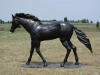 Brown Running Quarter Horse Bronze