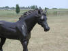 Brown Running Quarter Horse Sculpture