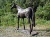 Thoroughbred Bronze