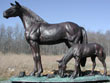 Mare with Colt bronze sculpture