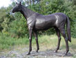 Thoroughbred Horse Bronze