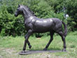 Trotting Horse Bronze