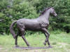 Trotting Horse Bronze Sculpture