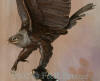 Eagle bronze sculpture