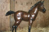 Foal Standing Bronze statue