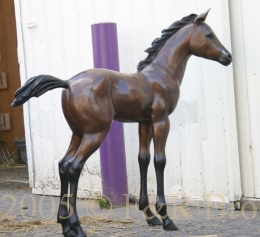 Bronze Foal standing