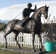 Jockey on Horse bronze