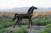 Yearling Bronze sculpture