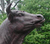 Giant Bull bronze