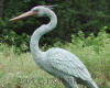 Blue Heron bronze