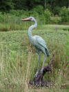 Blue Heron bronze sculpture