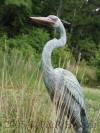 Life Size Blue Heron bronze