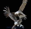 Fighting Eagles bronze statue