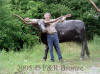 Texas Longhorn bronze reproduction