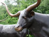 Texas Longhorn with Head straight bronze