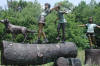4 Kids on Logs with a dog bronze