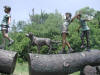 4 Kids on Logs with a dog bronze statue