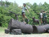 4 Kids on Logs with a dog bronze sculpture