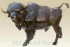 Buffalo bronze statue