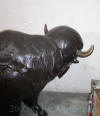 Buffalo bronze reproduction