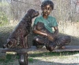 Girl with Dogs on Bench bronze statue