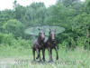 Twin Horses bronze table
