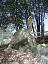 Galapagos Tortoise bronze Fountain