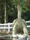 Galapagos Tortoise bronze statue Fountain